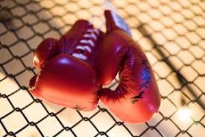 Mayweather újabb bemutatómeccsen bokszol Japánban